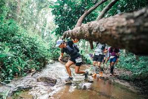 BIB: 
                            <button type="button" onclick="openModal(25375507)" class="btn btn-primary btn-sm float-right btn-popup" data-toggle="modal" data-target=".modal-high-quality">
                        <i class="fas fa-shopping-cart"></i> Add to Cart
                    </button>
                                            <button type="button" onclick="isThisMe(25375507, true)" class="btn btn-success btn-sm float-right btn-popup btn-isme hidden" data-toggle="tooltip" data-placement="bottom" title="นี่คือรูปของคุณใช่ไหม คลิกที่นี่เพื่อเอาเข้าอัลบั้ม">
                        <i class="fas fa-plus"></i> Add to album
                    </button>
                    <button type="button" onclick="isThisMe(25375507, false)" class="btn btn-warning btn-sm float-right btn-popup btn-isnotme hidden">
                        <i class="fas fa-ban"></i> Remove from album
                    </button>